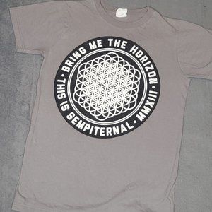 XS  Gray BMTH This Is Sempiternal T-Shirt